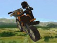 Tiger Cross 